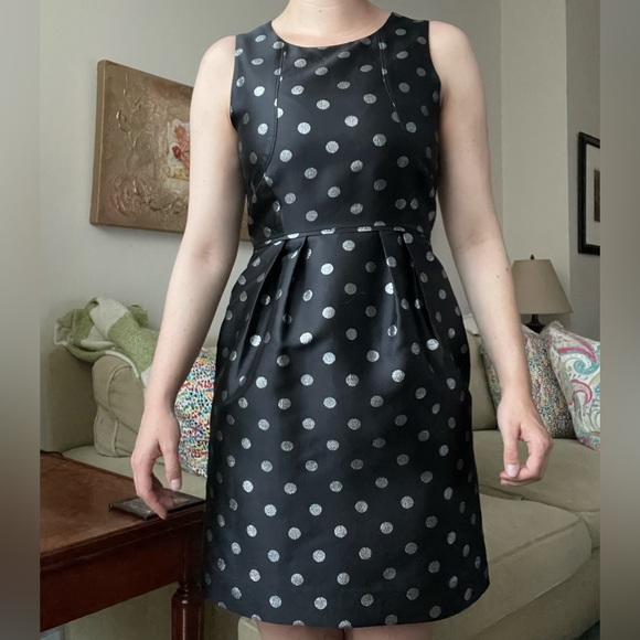 J. Crew factory 00P polka dot dress - Picture 1 of 6